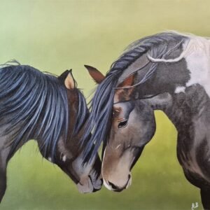 Amour chevalin 72ppp