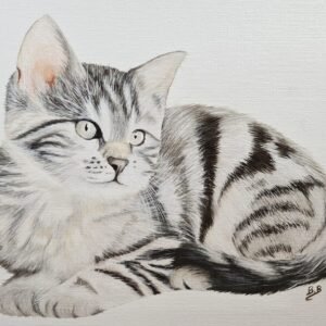 Chaton à l'huile 72 ppp